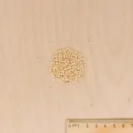 Potagères - Mâche Palace - MEDIA_3D